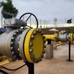 Governo de Minas fortalece laços comerciais com a França