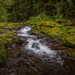 Gasmig encerra 2025 com lucro líquido de R$ 515 milhões e investimentos de R$ 314 milhões