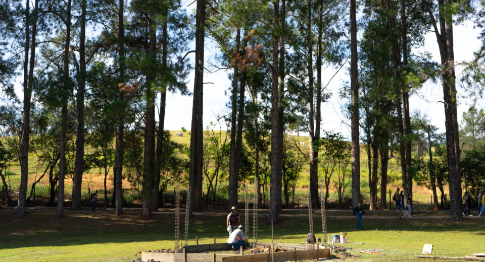 obras no horto florestal de pouso alegre