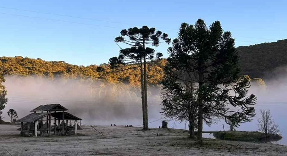 frio no sul de minas