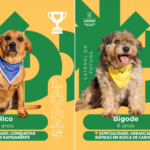 Votação popular define finalistas de concurso musical no Sul de Minas