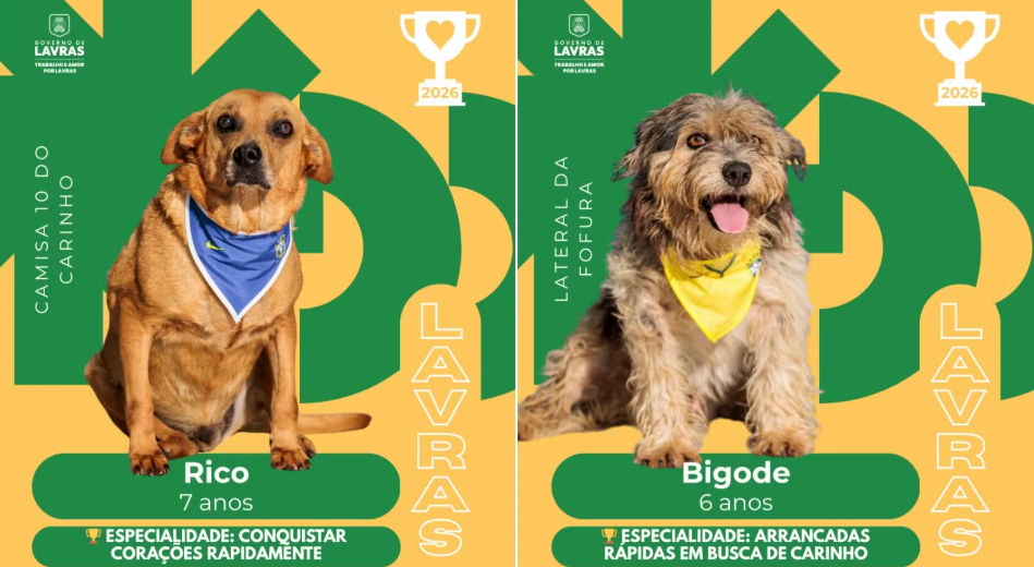 cães lavras figurinhas da copa