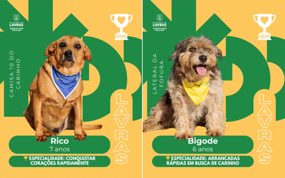 cães lavras figurinhas da copa